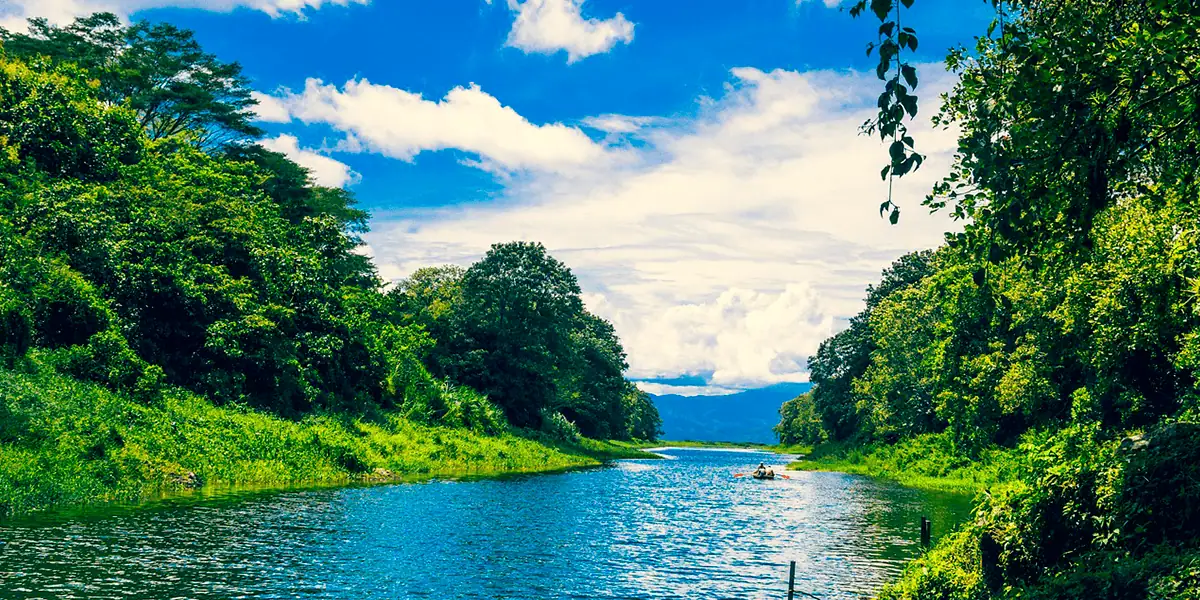 River winding through lush green forest in Belize